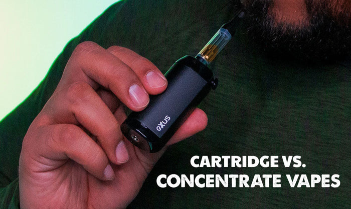 Cartucho VS. Vapes concentrados: ¿Cuál es la diferencia? 