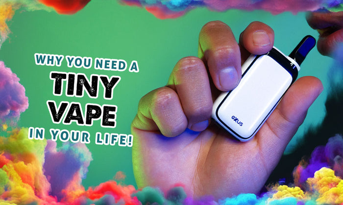 ¡Por qué necesitas un pequeño vaporizador en tu vida!