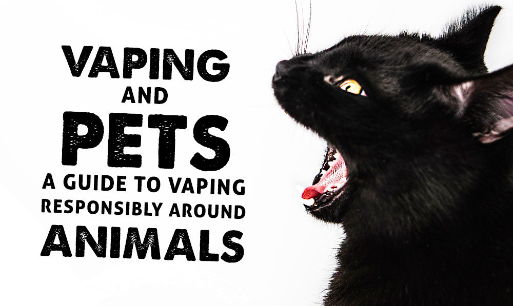 Vaping and Pets: A Guide to Vaping Responsibly Around Animals with an angry black kitty screaming in front of white background