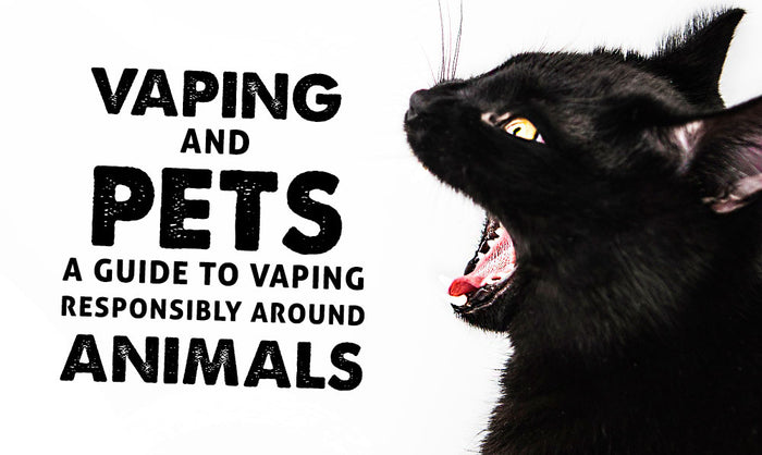 El vapeo y las mascotas: una guía para vapear de manera responsable cerca de los animales